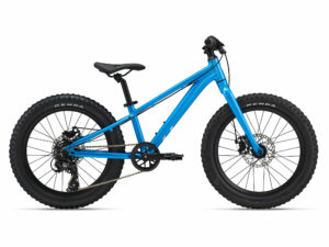 STP 20 Liv AI Blue